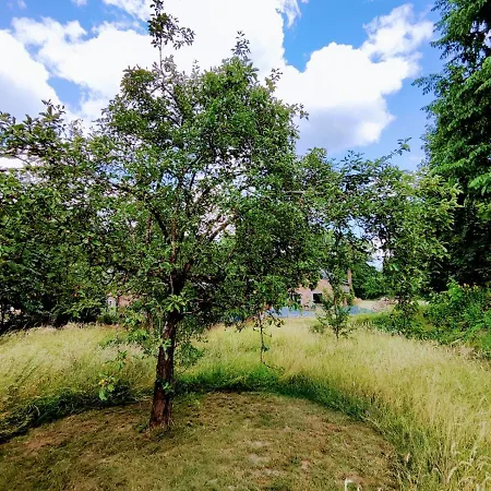 Holiday home Le Cerf Ruse